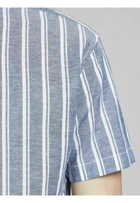 Kortärmad skjorta i blått tyg med vita vertikala ränder, med rak krage och rena sömmar. Strukturen i materialet är synlig.