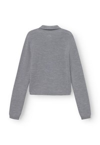 Grijze, ribbelgebreide trui met een kraag, lange mouwen en een cropped model, met een gestructureerd oppervlak. Eenvoudig ontwerp zonder zichtbare patronen.
