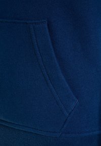 Abercrombie & Fitch Bluza z kapturem