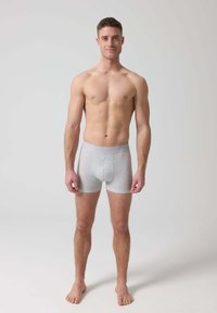 Boxer briefs in cotone grigio con una larga fascia elastica in vita, caratterizzati da una cucitura centrale per dare struttura, indossati da un modello maschile in piedi.