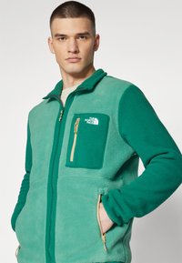 The North Face M YUMIORI FULL ZIP - Fliisjakk - green