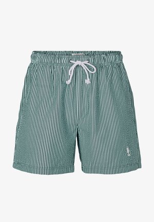 Roheliste triipudega ujumispüksid, millel on elastne vöökoht, valge pael ja väike logoga detail parema jala allosas.