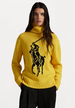 BIG PONY WOOL TURTLENECK SWEATER - Pullover - yellowfin/black