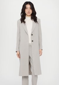 Lys grå, lang frakk med skreddersydd design, to frontknapper, notched lapels, og en glatt tekstur, båret over en lys topp og bukser.