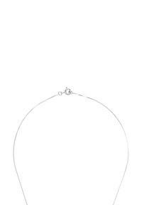 Collana in argento sterling con una catena sottile e liscia, dotata di chiusura a moschettone e una leggera lucentezza lungo tutta la sua lunghezza.