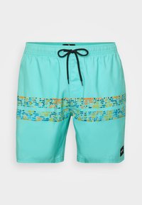 FRAMED VOLLEY UPDATE - Plaukimo šortai - aqua
