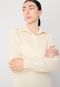 Pull en maille crème avec un col et une patte de boutonnage à trois boutons, et des poignets côtelés. Détail de logo subtil sur la poitrine.