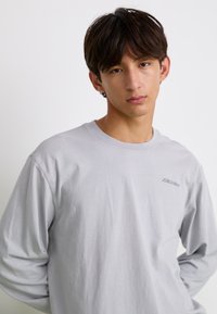 Dickies PLENTYWOOD TEE - Hosszú ujjú felső - ultimate gray