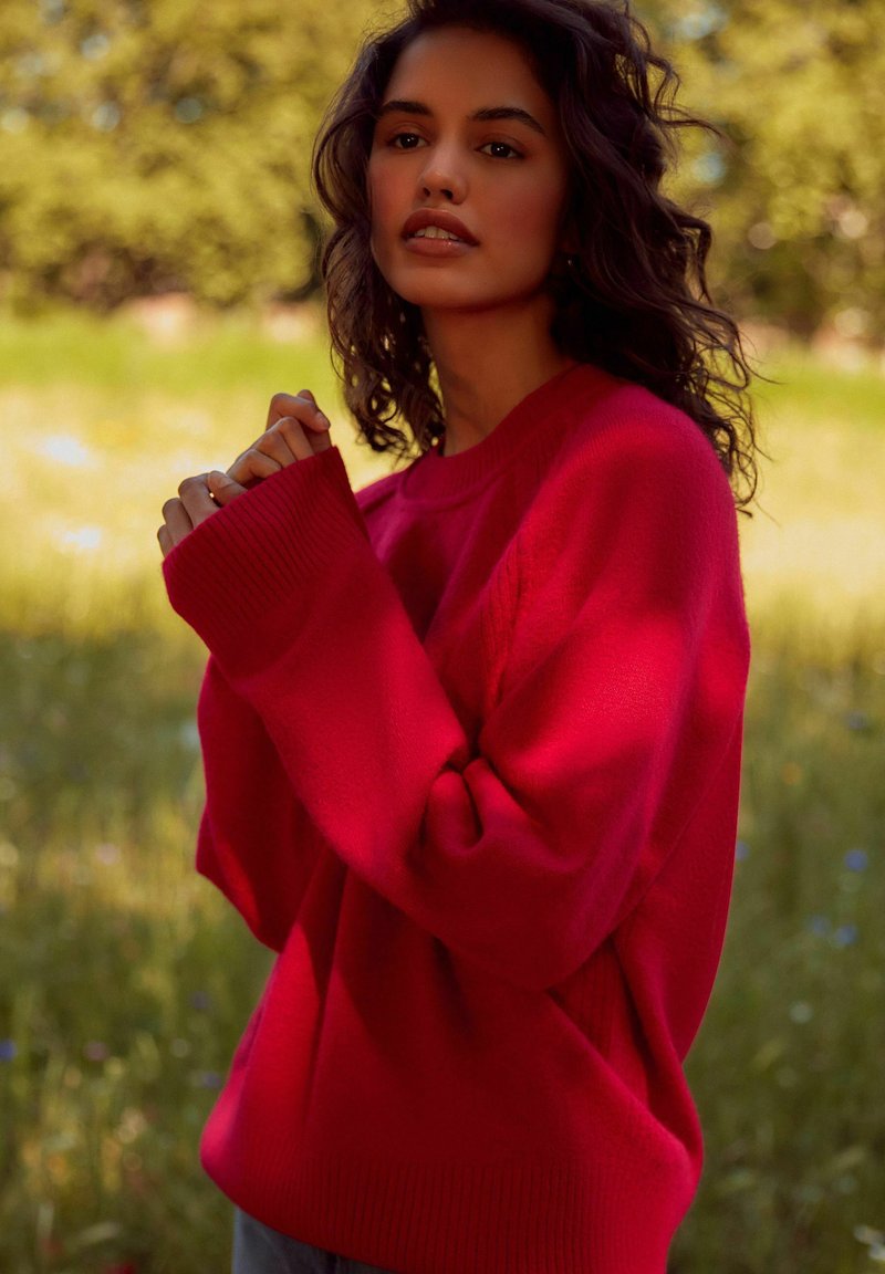 Next SEAM DETAIL CREW NECK PETITE - Pulover - red
