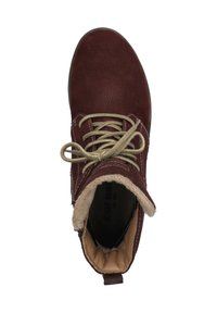 Josef Seibel Bottines à lacets - plum