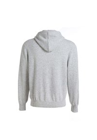 Felpa con cappuccio grigia chiaro, a maniche lunghe, con polsini e vita a coste, vista da dietro su uno sfondo bianco.