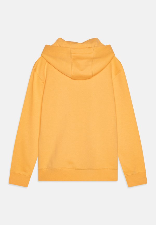 BIG LOGO YOUTH UNISEX - Hoodie - chamois2