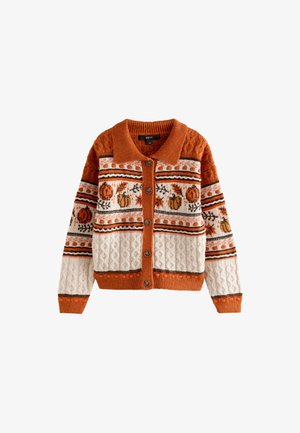 Rostorange und cremefarbener Cardigan mit Knopfleiste, strukturiertem Strick und Muster aus Kürbissen und Blättern über Brust und Ärmeln.