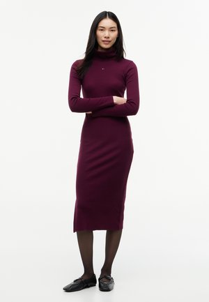 Woman standing with arms crossed wearing a long-sleeve purple turtleneck dress, black tights, and black flat shoes on a white background.