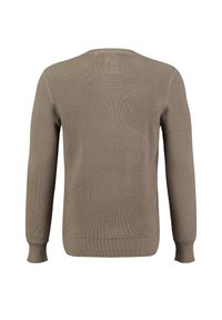 Beżowy sweter z dzianiny, charakteryzujący się teksturowanym wzorem, długimi rękawami oraz prążkowanymi mankietami i dolnym wykończeniem. Widok z tyłu pokazuje klasyczny okrągły dekolt.