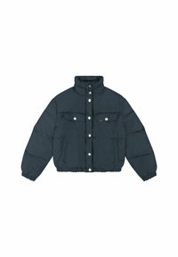 Chaqueta de invierno - dark blue