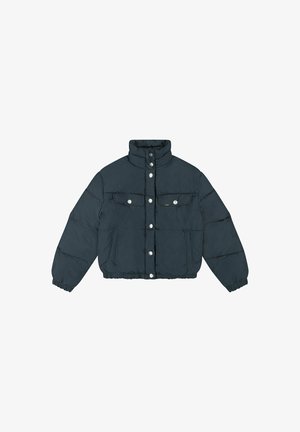 Lee Giacca invernale - dark blue