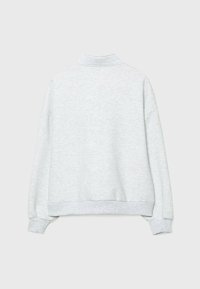 Pull gris clair à manches longues avec poignets et ourlet côtelés ainsi qu'un petit col montant, vu de dos sur un fond uni.