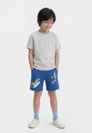 Garçon portant un t-shirt gris clair et un short bleu avec des illustrations de dinosaures et de planches de surf, debout avec les mains dans les poches et souriant.