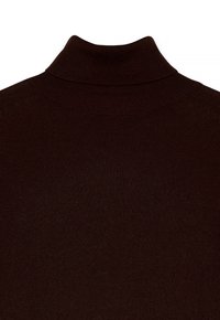 Brązowy sweter z kołnierzem typu golf, dopasowany w designie, wykonany z teksturowanej dzianiny. Posiada wysoki kołnierz i gładkie szwy dla eleganckiego wykończenia.