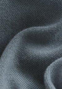 Next REGULAR FIT - Camiseta de manga larga - blue slate