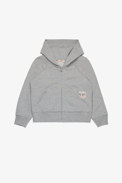 Gray cropped hoodie with a zip front, soft fabric, raglan sleeves, and a logo patch on the chest. Features front pockets and a hood.