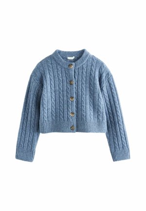 Next, REGULAR FIT - CABLE CARDIGAN - Cardigan - blue