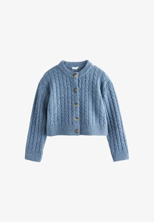 Cardigan court bleu tricoté avec motif torsadé et cinq boutons marron sur le devant, sur fond blanc.