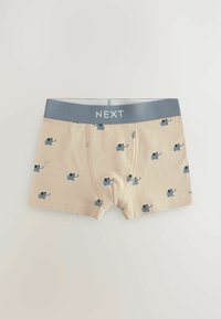 Next - Panty