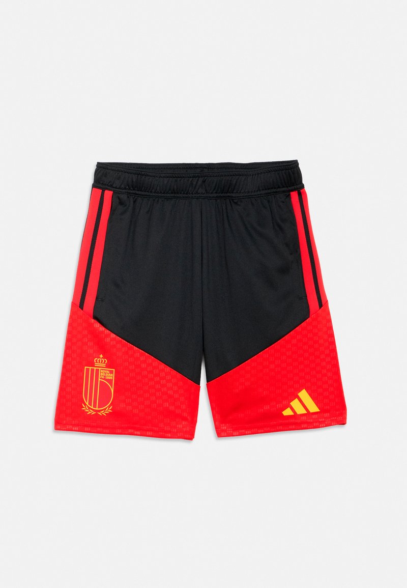 adidas Performance BELGIUM RBFA TRAINING YOUTH UNISEX - Sports shorts ...