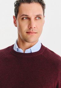 Ciemnobordowy sweter z fakturą i prążkowanym wzorem, z okrągłym dekoltem i rękawami raglanowymi, założony na jasnoniebieską koszulę z kołnierzykiem.