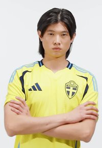 Žlutý fotbalový dres s námořnicky modrými doplňky, na kterém je švédský emblém. Košile má kulatý výstřih a krátké rukávy, s třemi pruhy na ramenou.