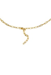 Collana in oro con maglie allungate, un moschettone sicuro e un ulteriore strato di catena per una vestibilità regolabile. Texture liscia e finitura brillante.