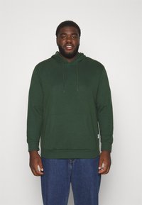 Jack & Jones JJEBASIC HOOD - Hættetrøje - mountain view