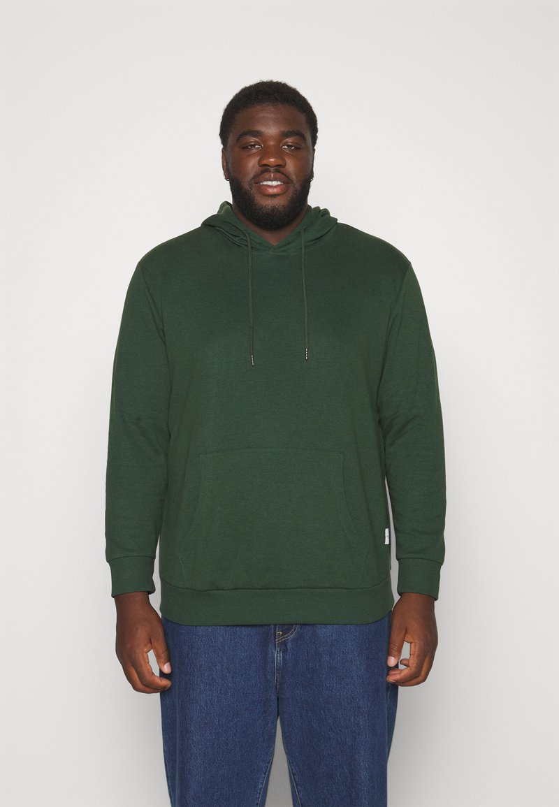 Jack & Jones JJEBASIC HOOD - Hættetrøje - mountain view