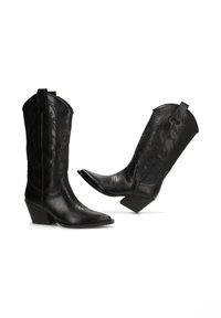 Par de botas de cowboy de cuero negro con puntas puntiagudas y costuras decorativas en los ejes, exhibidas sobre fondo blanco.