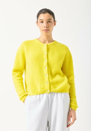 Jopica - ananas chine