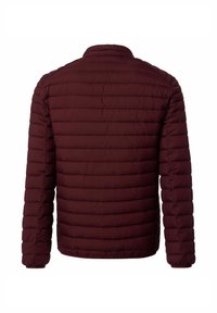 Bordeaux quiltet puffer-jakke med lange ærmer og opretstående krave, vist fra ryggen på en hvid baggrund.