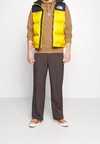 The North Face Jersey con capucha - brown