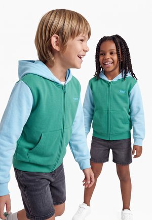 TINYCOTTONS, COLOR BLOCK HOODIE UNISEX - Sudadera con cremallera - dark emerald