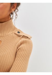 Cesare Gaspari HIGH NECK LONG SLEEVE - Fodralklänning - dark beige