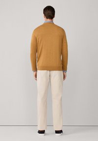 Uomo in piedi, di spalle, che indossa un maglione senape, una camicia a righe blu, pantaloni crema e sneaker nere con suole bianche.