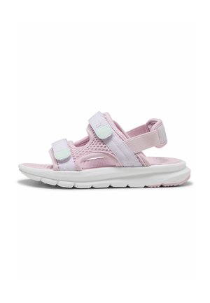 Puma, EVOLVE UNISEX, różowy