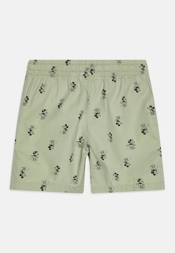BOY - Shorts - desert sage2