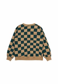 Geruite sweatshirt in beige en donkergroen, met ribgebreide manchetten en zoom, ronde halslijn en een zachte stofstructuur. Achteraanzicht weergegeven.