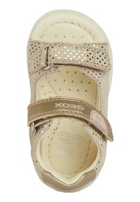 Sandalo in pelle beige con design perforato, ampia fascia con fibbia e interno imbottito. Punta arrotondata e branding minimalista sulla fascia.