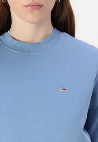 Šviesiai mėlyna džemperis su nertiniu apvaliu kaklu. Yra mažas siuvinėtas logotipas raudonos, baltos ir mėlynos spalvos ant krūtinės. Minkšta tekstūra.
