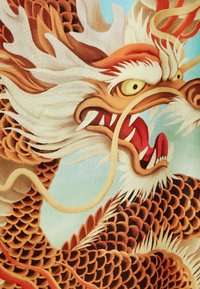 Barevná ilustrace draka s texturovanými šupinami, ostrými zuby, výraznýma očima a tekoucí hřívou na světle modrém pozadí.