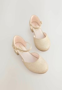 Kuldne sädelev Mary Jane kingad ümmarguse varbaga, pahkluustrapi ja väikese ploki kontsaga. Pehme roosa sisemus ja laineline ääristus.