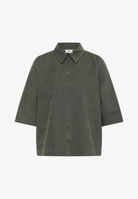 Sélectionné, dried olive green